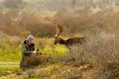 Deer encounter