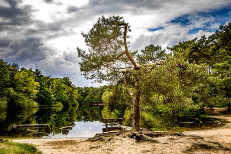 Drunense duinen