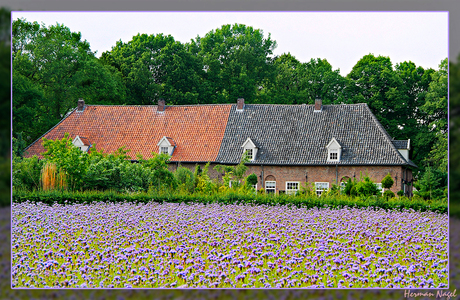 Boerderij