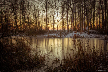 Champagne lake