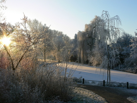 Winter in Nieuwegein