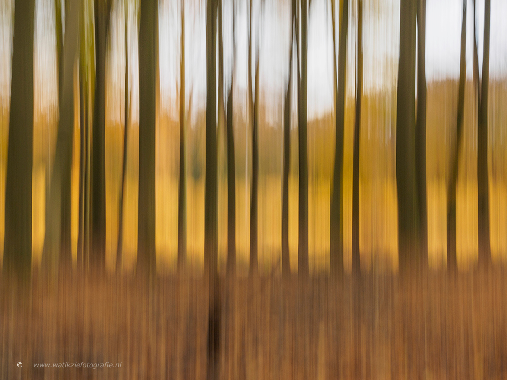 Tree trunks ..... - Bos van de Dansende Bomen!! - foto door watikziefotografie op 30-11-2016 - deze foto bevat: lucht, kleuren, abstract, natuur, licht, herfst, landschap, bos, bomen, beukenbos, creatief, boomstammen, speulderbos, lange sluitertijd, warme kleuren, creatieve fotografie
