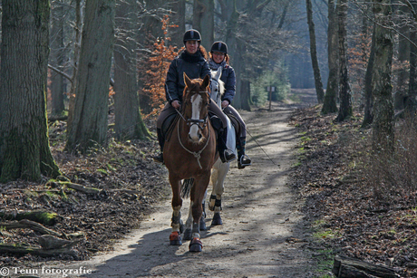 Twee ruiters op de Posbank............