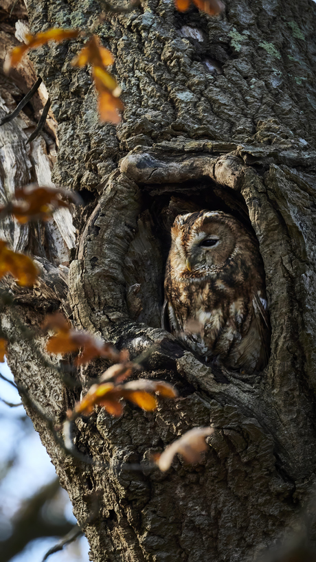 Enjoying the view...