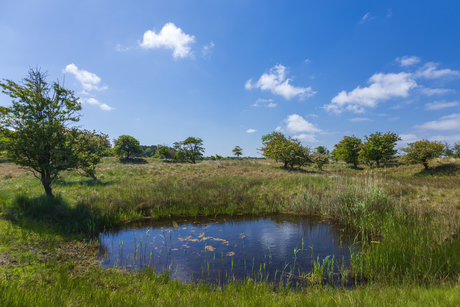 Vennetje in de AWD
