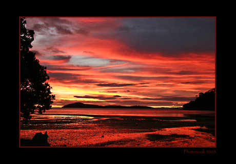 Shelly Beach Sunset