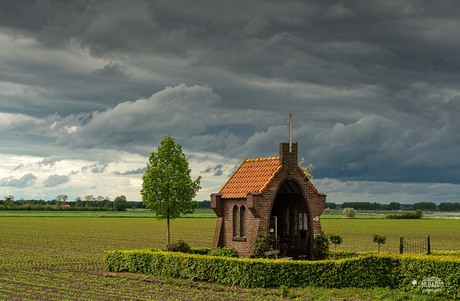 Lingewaards landschap