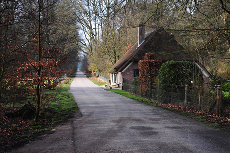 Niersen (Veluwe)