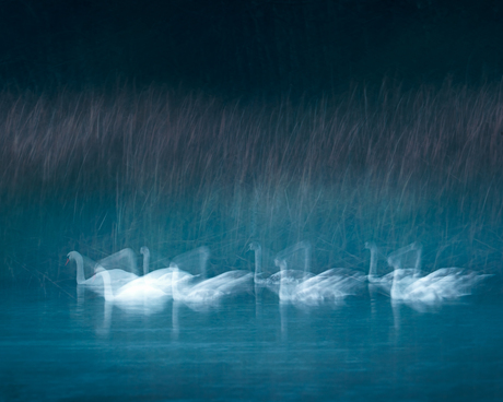 Dancing lights on the lake