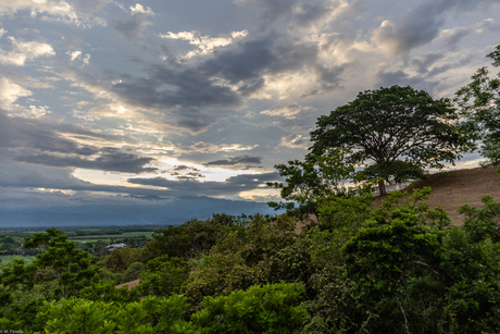 Mi Valle del Cauca