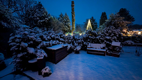 Vroege ochtend in de sneeuw 