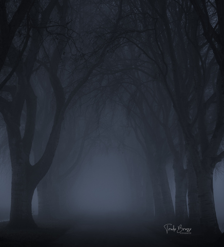 De dag begon donker met mist.. 