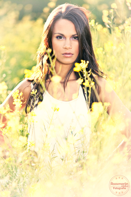 Savannah tussen de gele bloemen