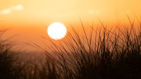 Zonsondergang close-up