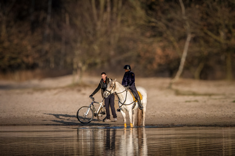 Paard leert water verkennen 