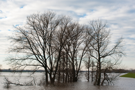 Hoog water