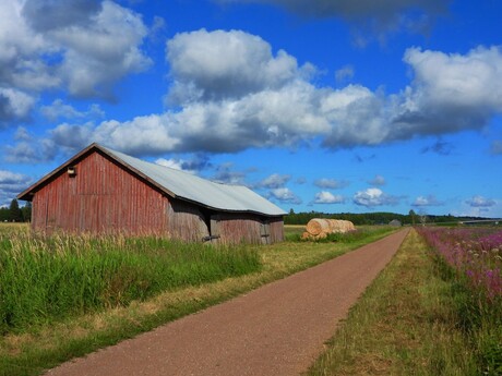 Finse natuur