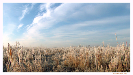 Winterlandschap (2)