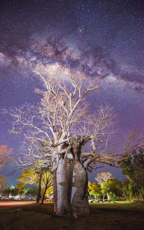 Baobab en Melkweg West-Australië