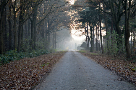 lopen naar...