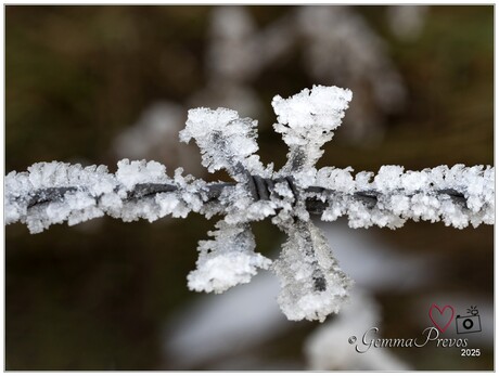 laatste winterprik