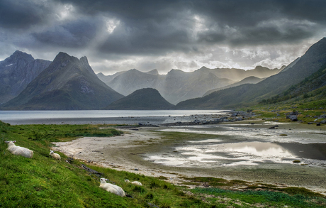 Lofoten