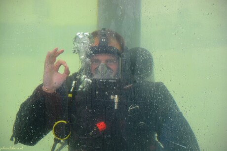 Duiker van de Marine.