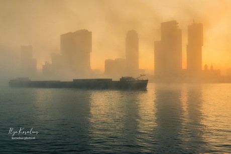 Foggy morning in Rotterdam