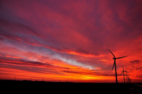 Evening Red @ Flevoland