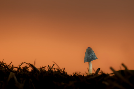 Tiny house bij zonsopkomst 