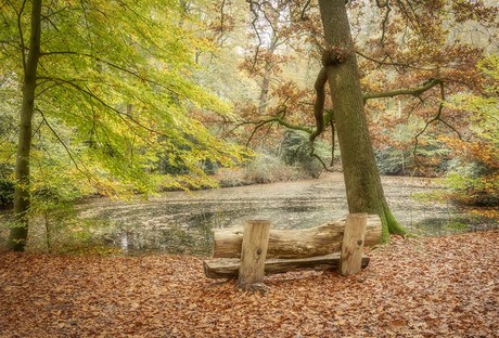 Herfstkleuren