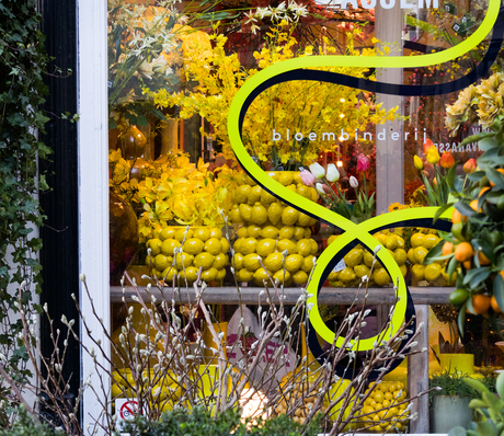 Kleurrijke pracht en praal