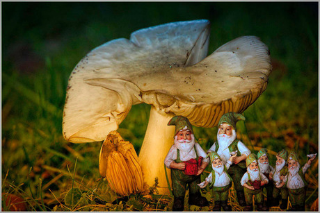 het kaboutergezin...........................