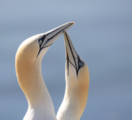 You will forever be my always 