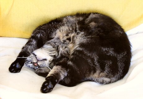 Sommeil profond.