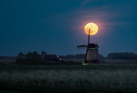 Volle maan - molen