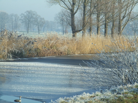 winterlandschap