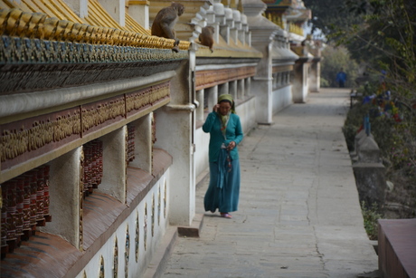Prayers in Monkey Temple