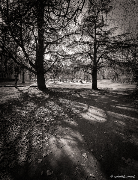 schaduw in park
