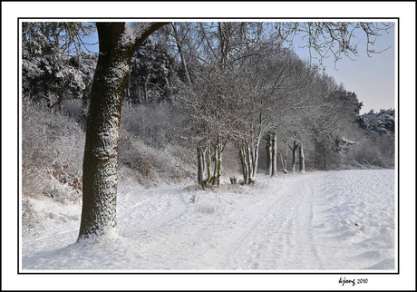 Drunense Duinen in de winter