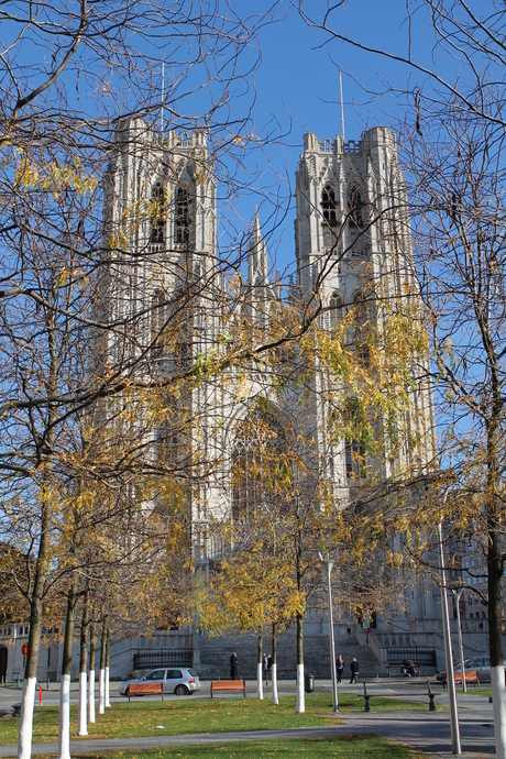 Kathedraal in Brussel