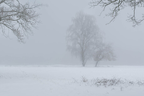 Een mooie winterdag.
