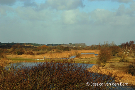 Storm in de duinen!!!!!