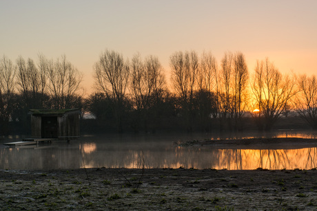 wetland Passewaaij