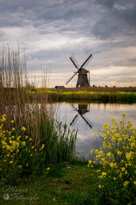 Poldergevoel.....
