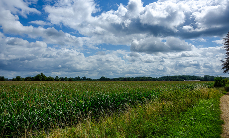 Wandeling