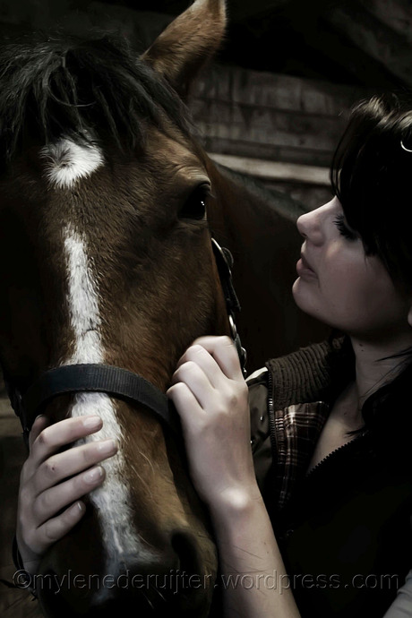 Paardenliefde