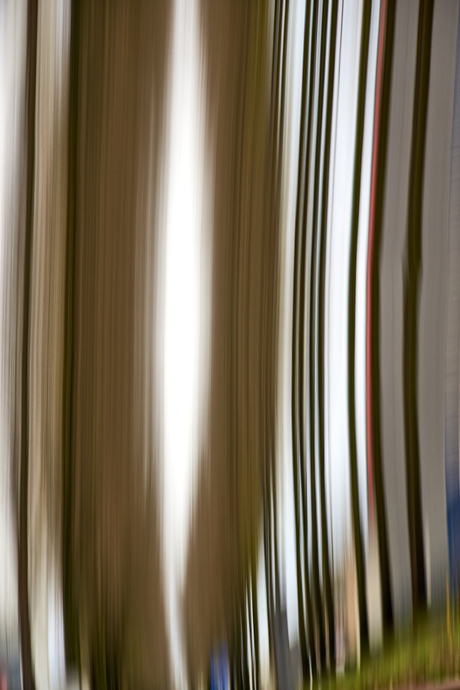 Bomenrij (De abstracte stad)