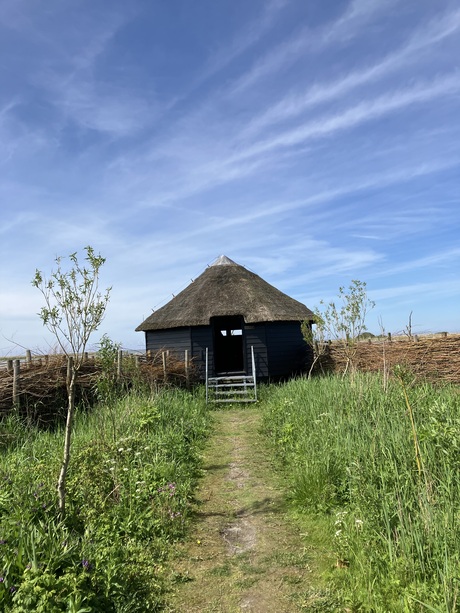 Vogelkijkhut aan het IJsselmeer 