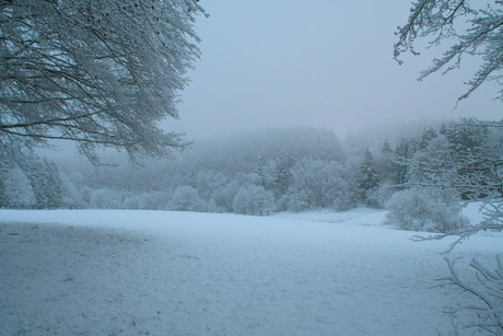 Winter in de Belgische Ardennen